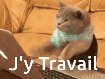 Cat Sitting At Laptop Saying J'y Travail GIF