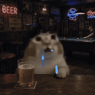 Cat Sitting At Table With Beer Sign GIF