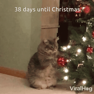 Cat Sitting By Christmas Tree Saying Merry Christmas Bradderz And Looperz GIF