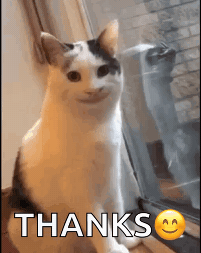 Cat Sitting By Window Saying Thanks GIF