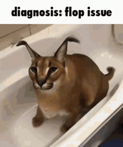 Cat Sitting In Bathtub Diagnosis: Flop Issue GIF