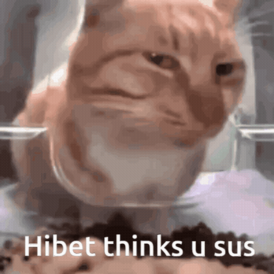 Cat Sitting In Bowl Of Food Hibet Thinks U Sus GIF