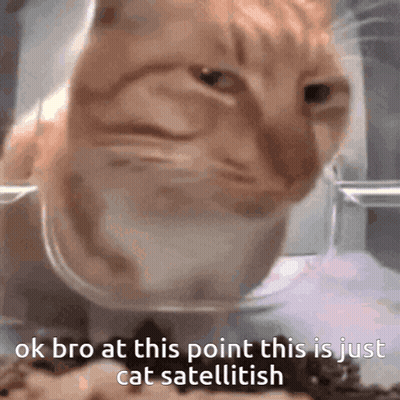 Cat Sitting In Bowl Saying Ok Bro Cat Satellitesh GIF
