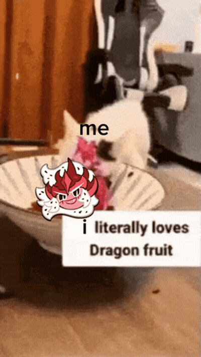Cat Sitting In Bowl With Dragon Fruit Sticker GIF