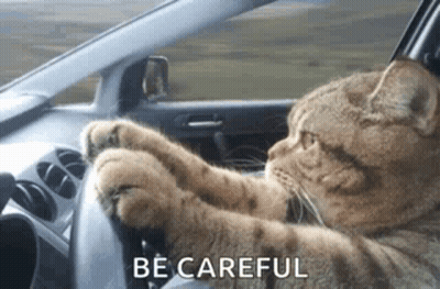 Cat Sitting In Car Saying Be Careful GIF