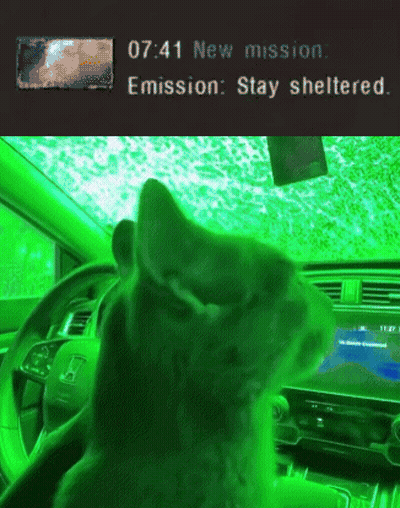 Cat Sitting In Car With Green Light GIF