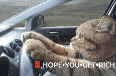 Cat Sitting In Car With Hope You Get Rich GIF