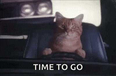 Cat Sitting In Car With Time To Go GIF