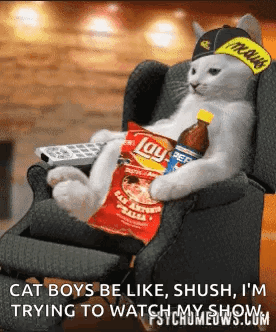 Cat Sitting In Chair With Lays Chips And Soda GIF