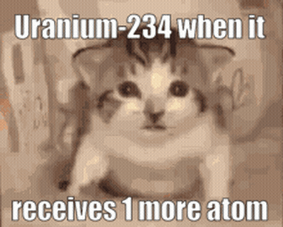 Cat Sitting In Chair With Uranium-234 Caption GIF