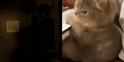 Cat Sitting In Dark Room Next To Calendar GIF