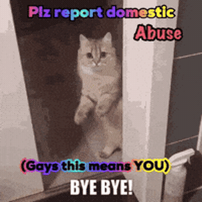 Cat Sitting In Doorway Plz Report Domestic Abuse GIF