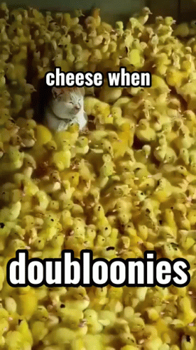 Cat Sitting In Ducklings Pile With Cheese GIF