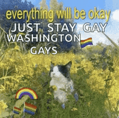 Cat Sitting In Flowers With Rainbow And Washington Gay Flag GIF