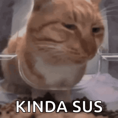 Cat Sitting In Food Bowl Kinda Sus GIF