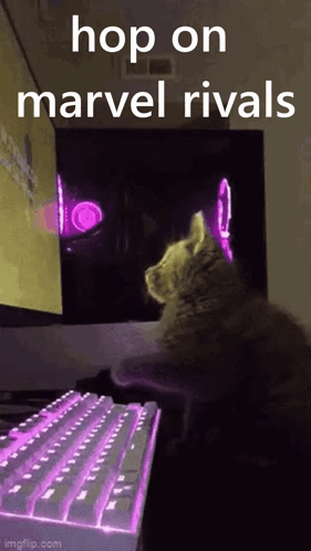 Cat Sitting In Front Of Computer Keyboard And Monitor GIF