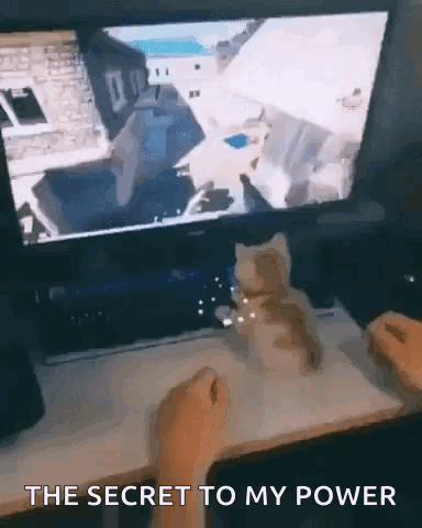 Cat Sitting In Front Of Computer Screen Saying The Secret To My Power GIF
