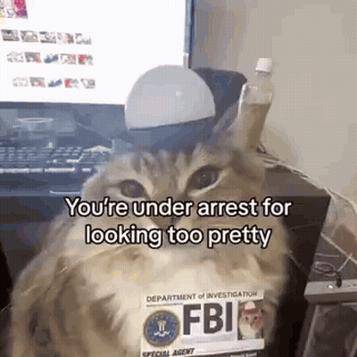 Cat Sitting In Front Of Computer GIF