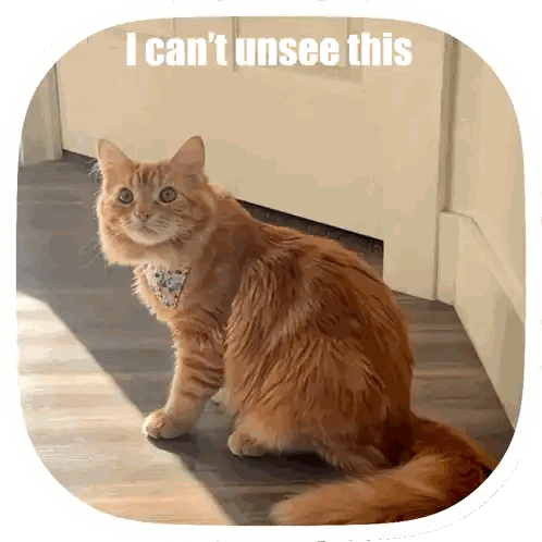 Cat Sitting In Front Of Door With I Can't Unsee This Sticker