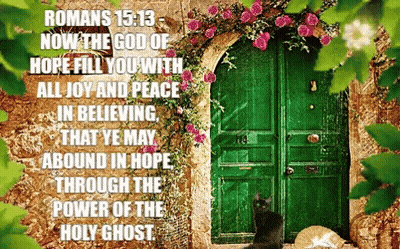 Cat Sitting In Front Of Green Door With Bible Verse GIF