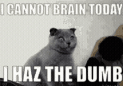 Cat Sitting In Front Of I Cannot Brain Today I Haz The Dumb Sign GIF