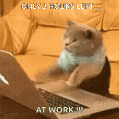 Cat Sitting In Front Of Laptop GIF