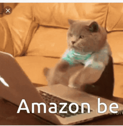 Cat Sitting In Front Of Laptop Saying Amazon Be GIF