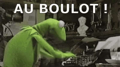 Cat Sitting In Front Of Laptop Saying J'y Travail GIF