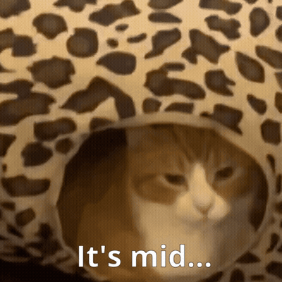 Cat Sitting In Leopard Print Bed GIF