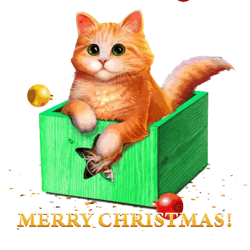 Cat Sitting In Merry Christmas Box Sticker