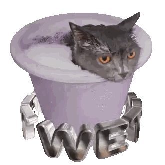 Cat Sitting In Purple Bucket With Wet Sticker
