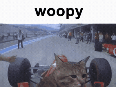 Cat Sitting In Race Car With Woopy GIF