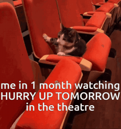 Cat Sitting In Red Seats Watching Hurry Up Tomorrow GIF