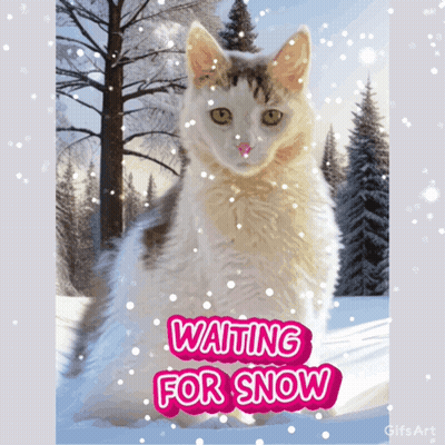 Cat Sitting In Snow Waiting For Snow GIF