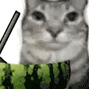 Cat Sitting In Watermelon Bowl Sticker