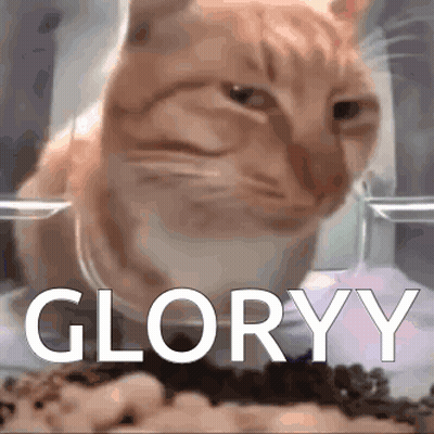 Cat Sitting Next To Bowl Of Food Saying Gloryy GIF