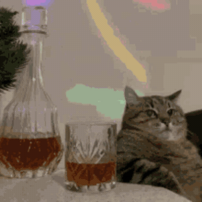 Cat Sitting Next To Glass Of Whiskey GIF
