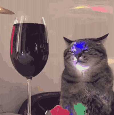Cat Sitting Next To Glass Of Wine GIF