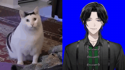 Cat Sitting Next To Man In Suit GIF