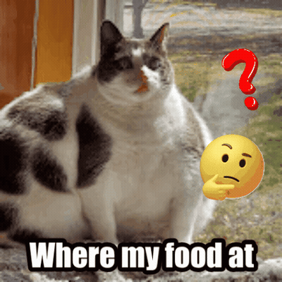 Cat Sitting Next To Question Mark And Smiley Saying Where My Food At GIF