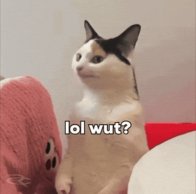 Cat Sitting Next To Stuffed Animal Saying LOL Wut GIF