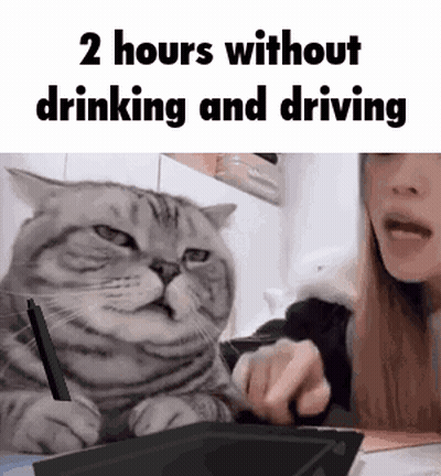 Cat Sitting Next To Woman Holding Pen And Tablet GIF
