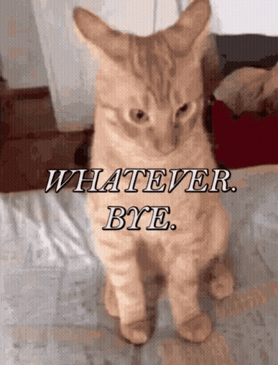 Cat Sitting On Bed Whatever Bye GIF