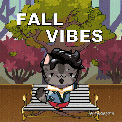 Cat Sitting On Bench Fall Vibes GIF