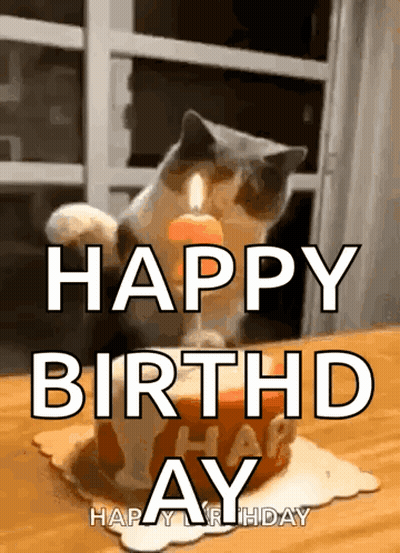 Cat Sitting On Birthday Cake With Candle GIF
