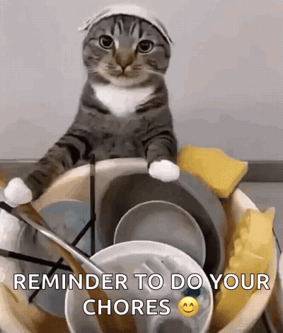 Cat Sitting On Bucket Of Dishes Reminder To Do Your Chores GIF