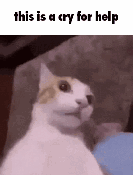 Cat Sitting On Couch Crying For Help GIF