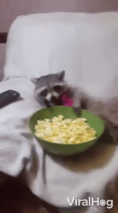 Cat Sitting On Couch Next To Popcorn GIF