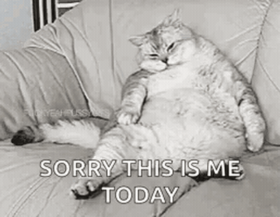 Cat Sitting On Couch Saying Sorry This Is Me Today GIF