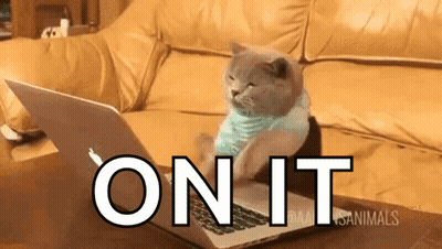 Cat Sitting On Couch Using Laptop GIF
